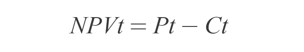 Net present value of the investment project Net present value of the investment project