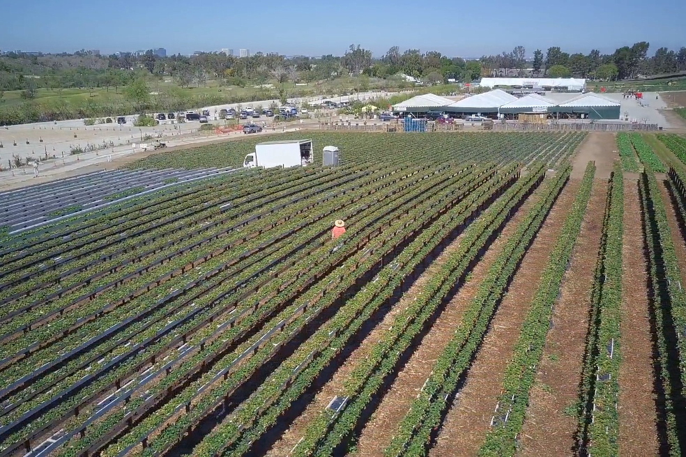 Sources of long term agricultural finance and large loans in India Sources of long term agricultural finance and large loans in India